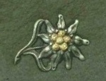 Edelweiss Pin worn by Mountain Troops