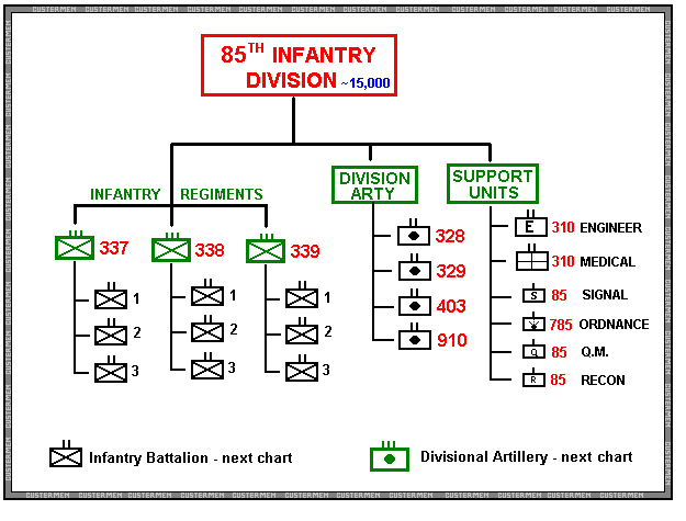 Infantry Battalion Organization Chart